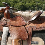 Western saddle